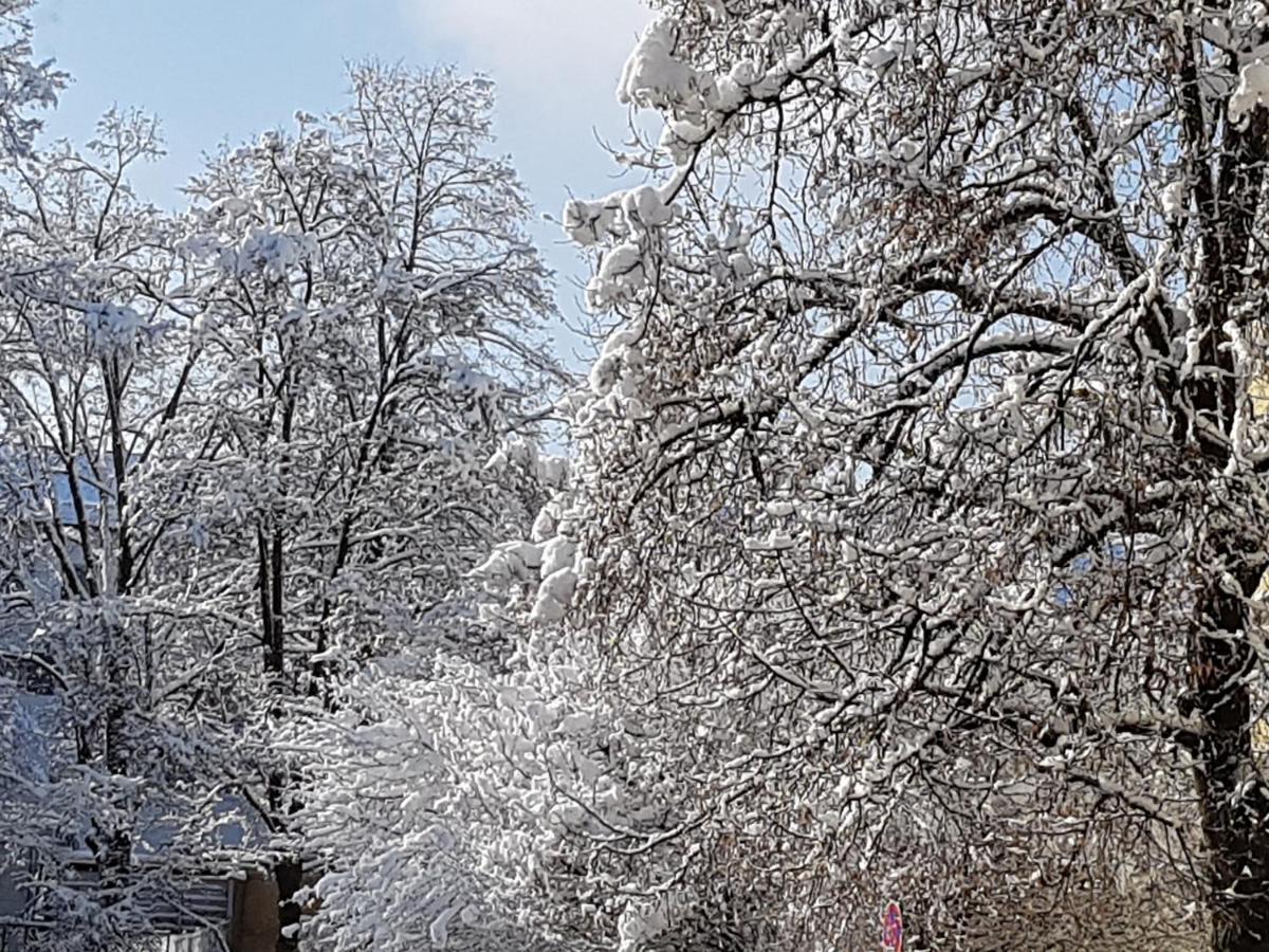 Stas-Przy Szkole Nr3 W Skawie Skawa Exterior foto